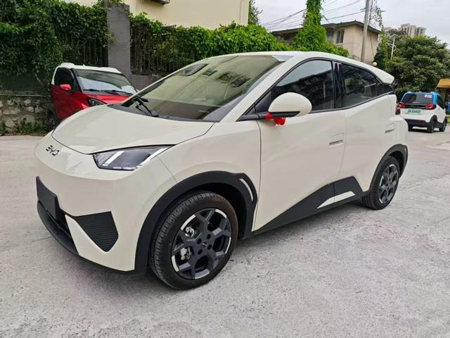 Seagull 2025 Smart Driving Edition 405km